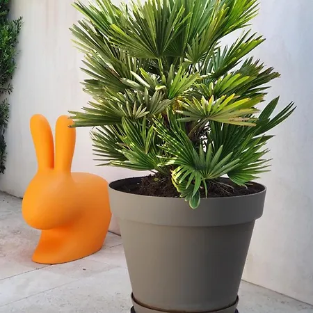 Maison Moderne Pour 6 Avec Wi-fi A - Fr-1-835-7 La Flotte